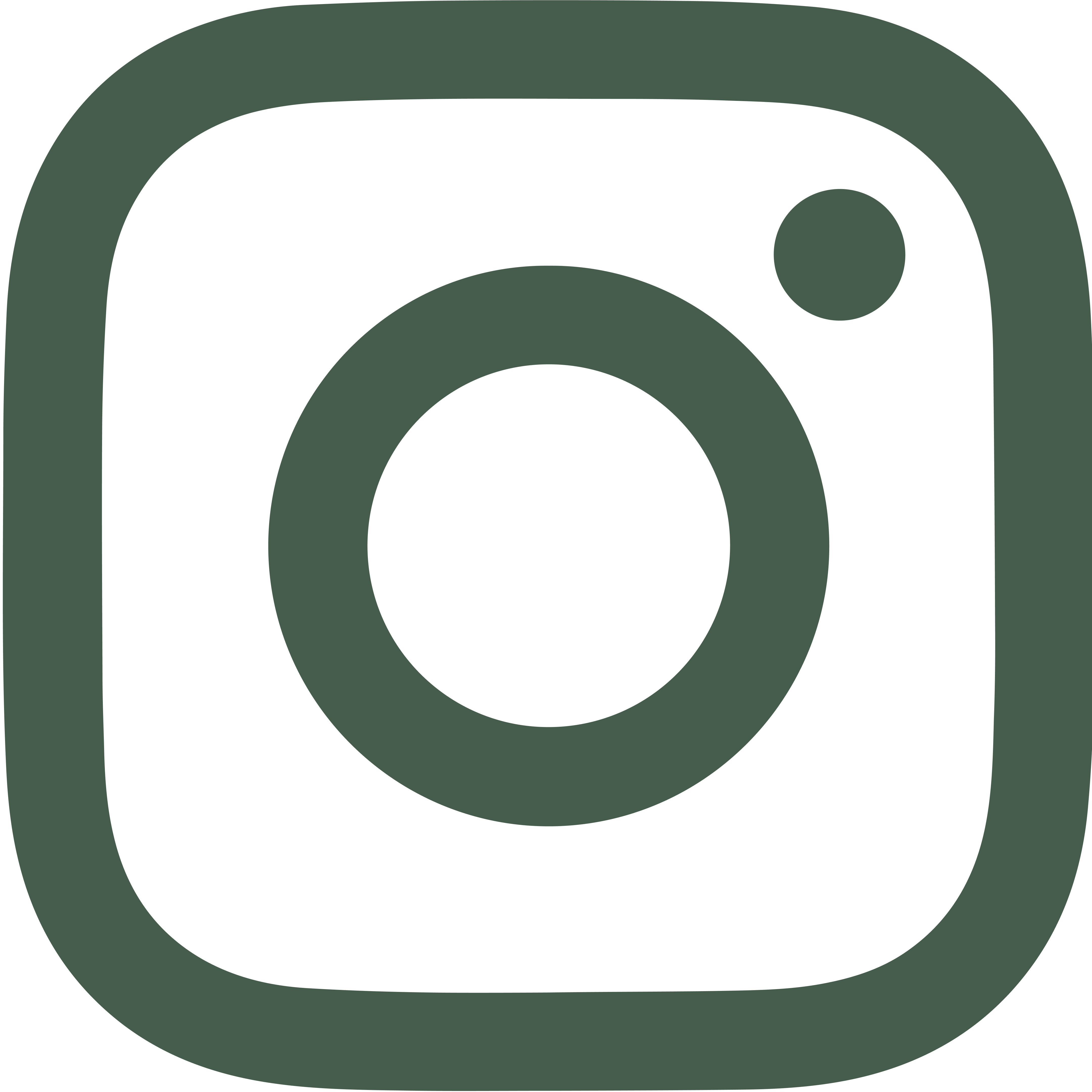 ikona logo insta